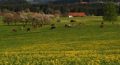 src_99043989-0.jpg © Outdooractive Redaktion