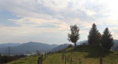 Aussicht vom Roderbühl © Landkreis Lindau (Bodensee)