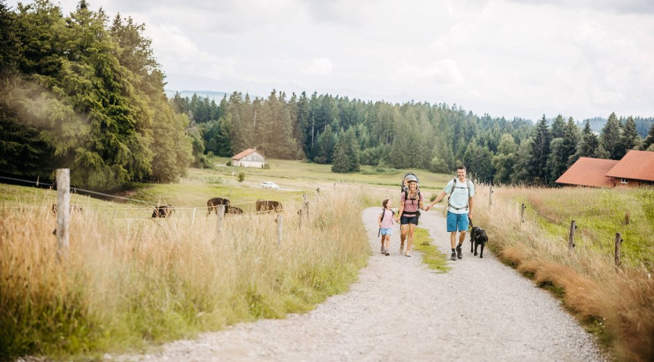 aussichtsreich Premiumwandern bei Lindenberg © Frederick Sams, Landkreis Lindau/Premiumwege Westallgäu aussichtsreich Premiumwandern bei Lindenberg © Frederick Sams, Landkreis Lindau/Premiumwege Westallgäu