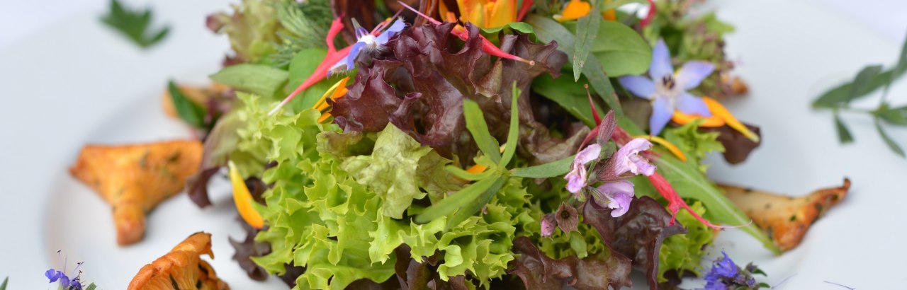 Genussregion Westallgäu Regionale Spezialitäten Pfifferlinge auf Salat Genussregion Westallgäu Regionale Spezialitäten Pfifferlinge auf Salat