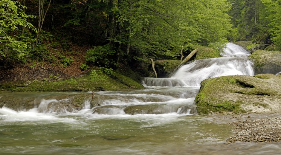 Wanderungen entlang der Westallg&auml;uer Wasserwege