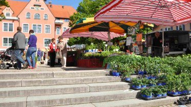 Wochenmarkt Lindenberg © Sascha Schmid
