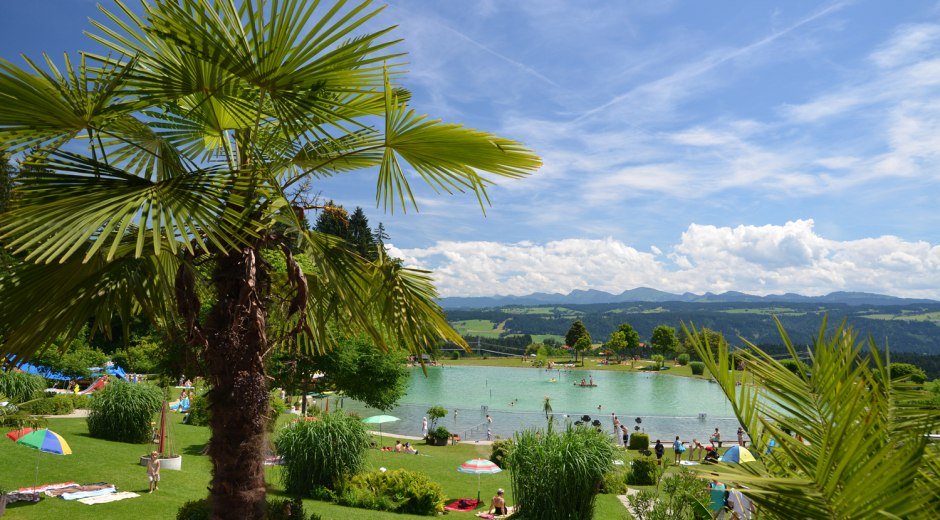 Palme im Alpenfreibad Scheidegg © Wolfgang B. Kleiner