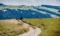 Sonne & Weide Premium-Spazierwanderweg bei Scheidegg &copy; Frederick Sams