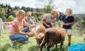 Ausflüge planen - begegnen Sie den Tieren im Westallgäu hautnah