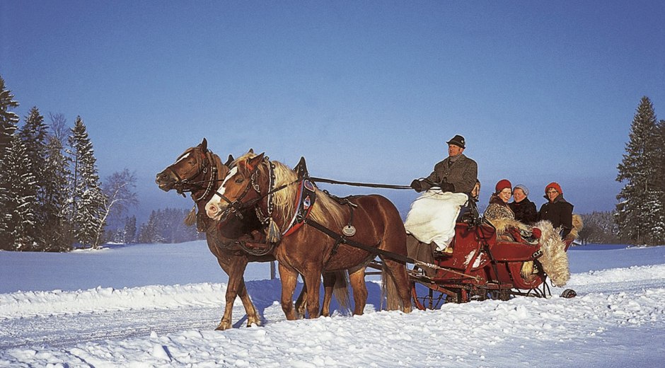 Pferdeschlittenfahrt im Winter im Westallg&auml;u