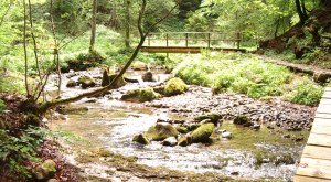 Hausbachklamm © Thomas Gretler