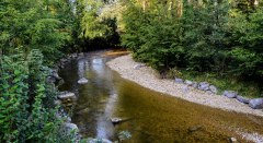Naturerlebnis im unteren Leiblachtal © Thomas Gretler