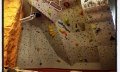 Kletterhalle © _changed => 08.07.2014 um 13:07 Uhr