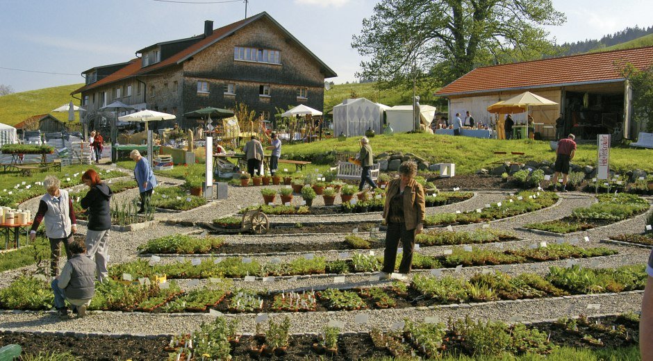 Kräutergarten Artemisia