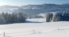Scheidegg im Winter © Landkreis Lindau (Bodensee)