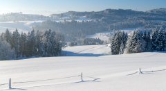 Scheidegg im Winter © Landkreis Lindau (Bodensee)
