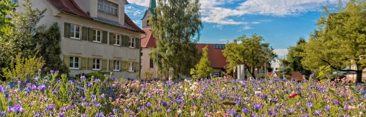 Gemeinde Opfenbach Ortsansicht Fr&uuml;hjahr