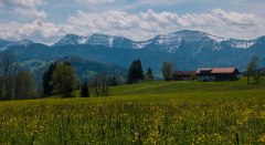 Blick zum Hochgrat © walkmanagement