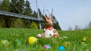ostern-zwischen-baumwipfeln-osterferienaktion-waldwelt-skywalk-allgaeu © Waldwelt Skywalk Allgäu ostern-zwischen-baumwipfeln-osterferienaktion-waldwelt-skywalk-allgaeu © Waldwelt Skywalk Allgäu