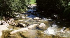Am Tobelbach © Anita Rasch