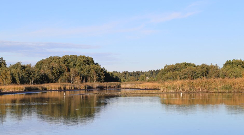 Stockenweiler Weiher