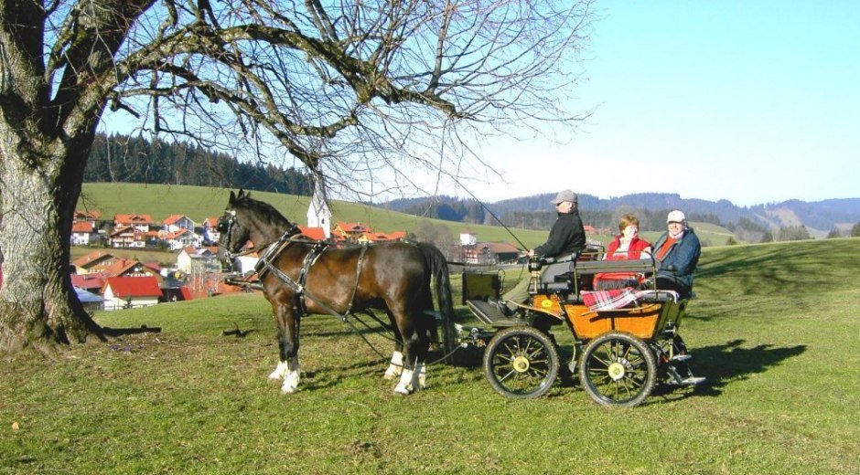 hausprospekt007 &copy; _changed => 27.08.2018 um 15:51 Uhr
