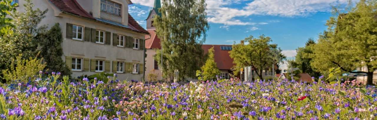 Gemeinde Opfenbach Ortsansicht Frühjahr