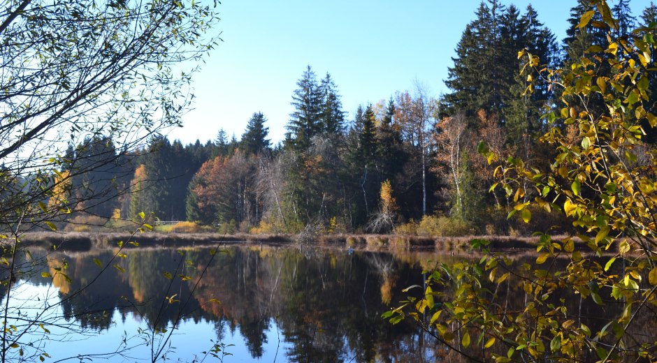 Waldsee in Lindenberg im Allgäu © Daniela Eger-Popp Waldsee in Lindenberg im Allgäu © Daniela Eger-Popp