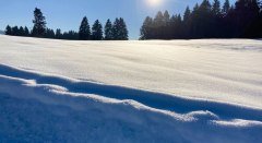 Winterwanderweg Hopfen - Stiefenhofen © Landkreis Lindau (Bodensee)