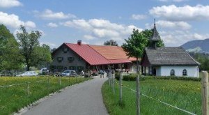 Die Königsalpe liegt auf etwa 900 Metern Höhe im Westallgäuer Voralpenland bei Stiefenhofen hinter Oberstaufen. Sie ist gut für Radfahrer erreichbar. Wanderer brauchen im kürzesten Fall 15 Minuten vom Parkplatz kurz hinter Trabers, von dort führt ein geteerter, leicht ansteigender Weg zur Alpe.