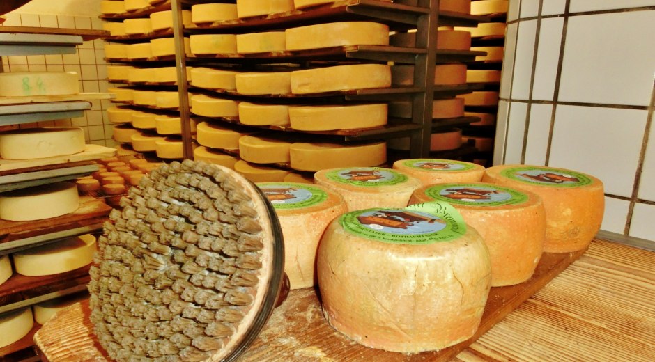 Allgäuer Käsestraße in der Sennerei Käse mit Bürste Allgäuer Käsestraße in der Sennerei Käse mit Bürste