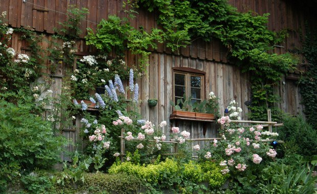 Unterkünfte im Westallgäu Fensterrahmen mit Blumen Unterkünfte im Westallgäu Fensterrahmen mit Blumen