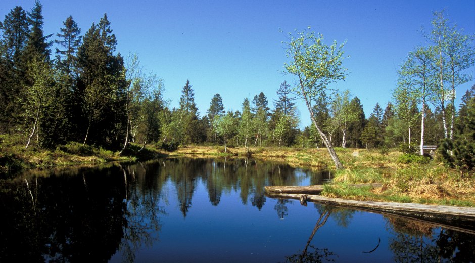 Gemeinde Oberreute im Westallgäu Moorweiher Gemeinde Oberreute im Westallgäu Moorweiher