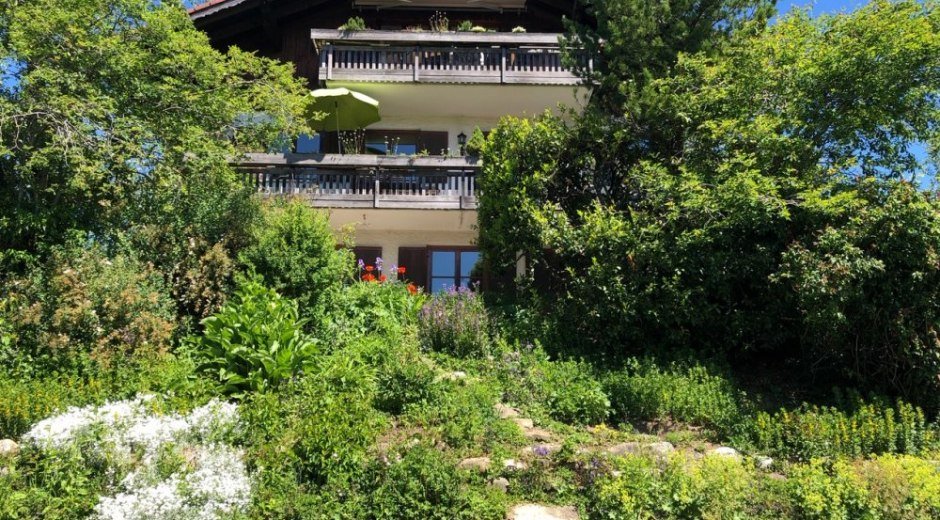 Suedseite © _changed => 04.06.2020 um 14:32 Uhr Suedseite © _changed => 04.06.2020 um 14:32 Uhr