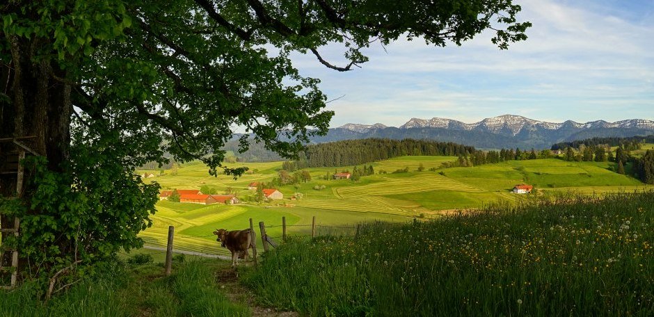 dsc01037 &copy; _changed => 27.08.2018 um 15:46 Uhr