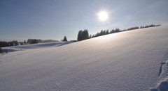 Scheideggs Winterlandschaft © Landkreis Lindau (Bodensee)