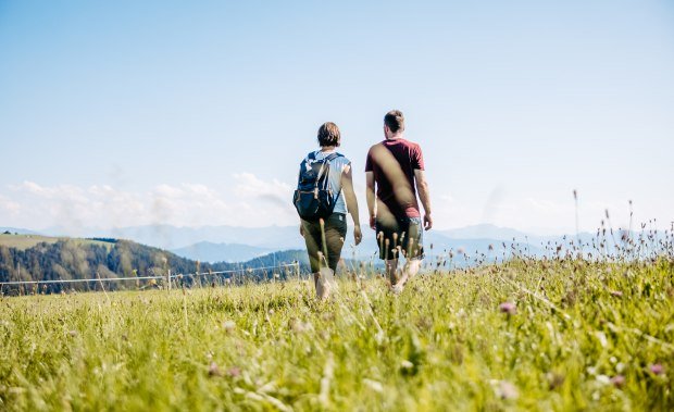 aussichtsreich Wandern auf den Westallgäuer Premiumwanderwegen und Premiumspazierwanderwegen © Frederick Sams