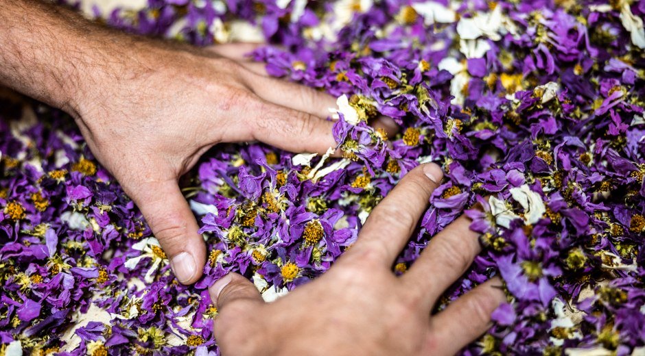 Kräuter im Westallgäu Kräuter im Westallgäu