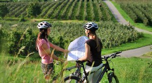 Radfahren auf den Fahrradwegen im Allg&auml;u