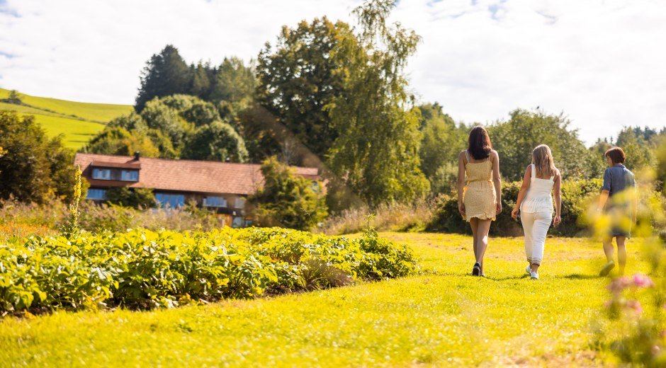 Kräuter Artemisia © Frederik Sams Kräuter Artemisia © Frederik Sams