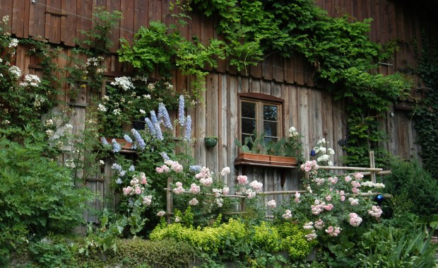 Unterk&uuml;nfte im Westallg&auml;u Fensterrahmen mit Blumen