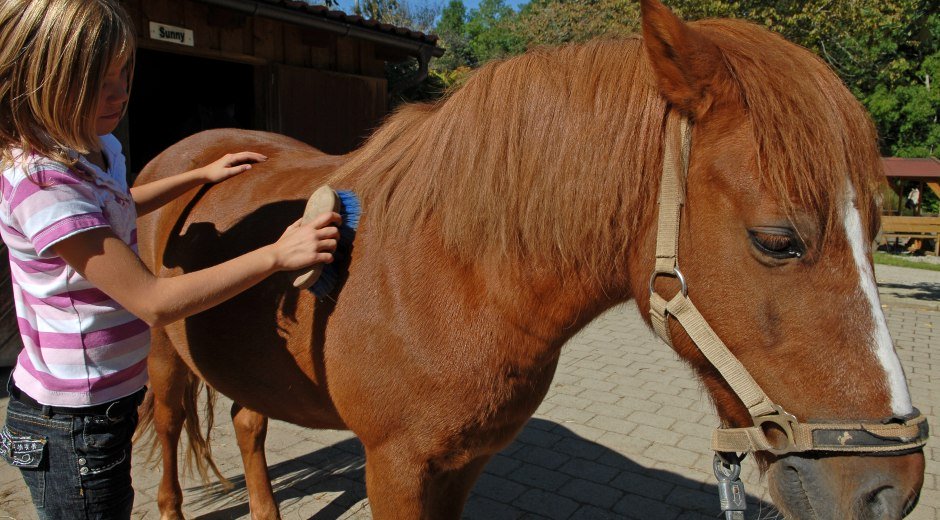 Ponyhof Scheidegg © Scheidegg-Tourismus, Thomas Gretler
