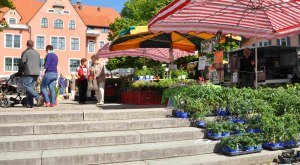 Wochenmarkt Lindenberg © Sascha Schmid