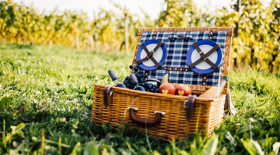 Picknickkorb gefüllt mit regionalen Köstlichkeiten am Lindauer Bodensee © Frederick Sams