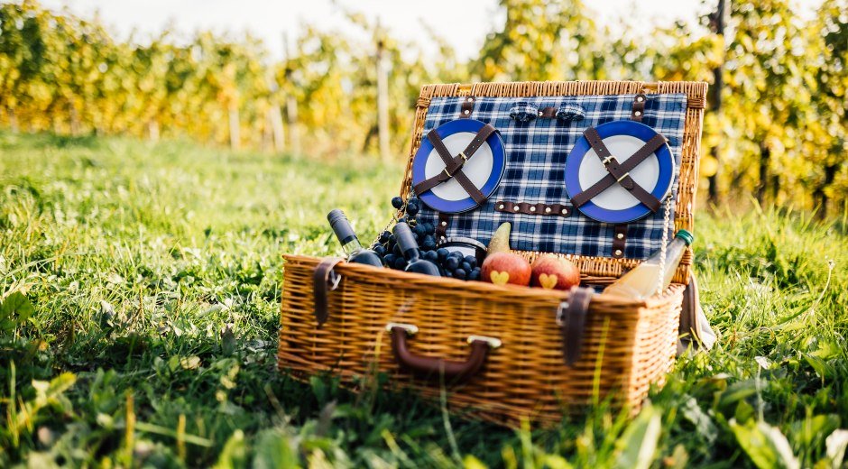 Picknickkorb gefüllt mit regionalen Köstlichkeiten am Lindauer Bodensee © Frederick Sams