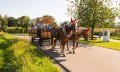 Pferdekutschaft in Wasserburg am Bodensee © David Knipping