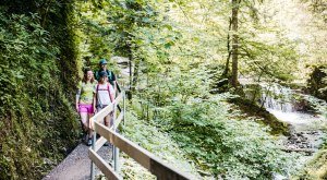 Touren rund um Weiler im Allgäu "Tobel & Kraft" und "Klamm
& Mystik"