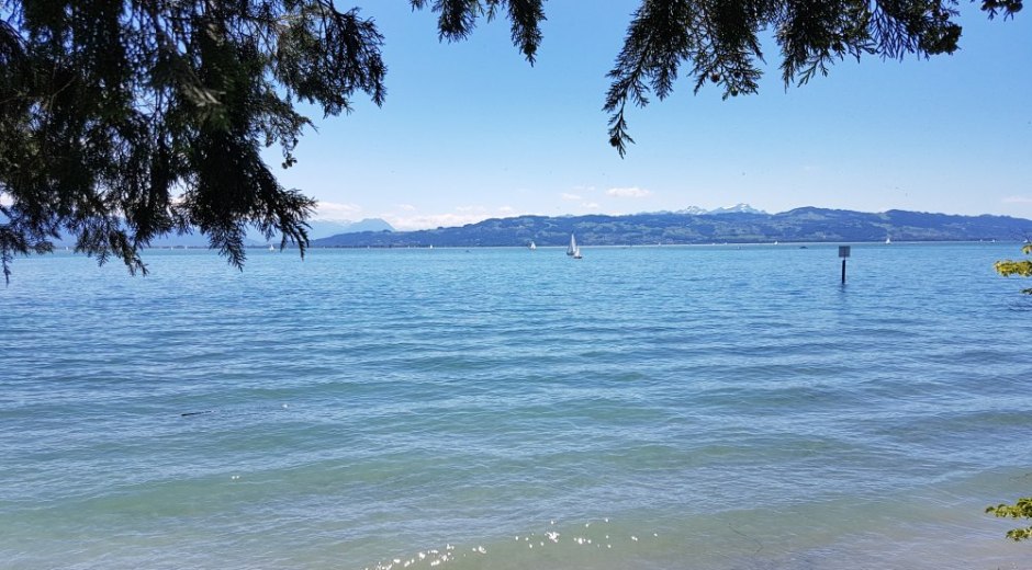 Bodensee II &copy; _changed => 05.07.2020 um 10:28 Uhr