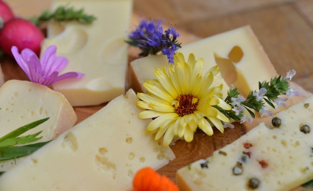 Käseplatte mit Kräutern Käseplatte mit Kräutern