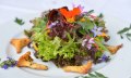 Genussregion Westallg&auml;u Regionale Spezialit&auml;ten Pfifferlinge auf Salat