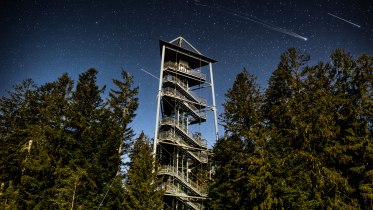 Der Skywalkturm, umgeben von riesigen Fichten, steht imposant in der Nacht, im Hintergrund ist der Himmel mit Sternschnuppen zu sehen... &copy; Waldwelt Skywalk Allg&auml;u