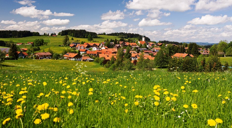 Gemeinde Oberreute Ortsansicht mit Löwenzahn