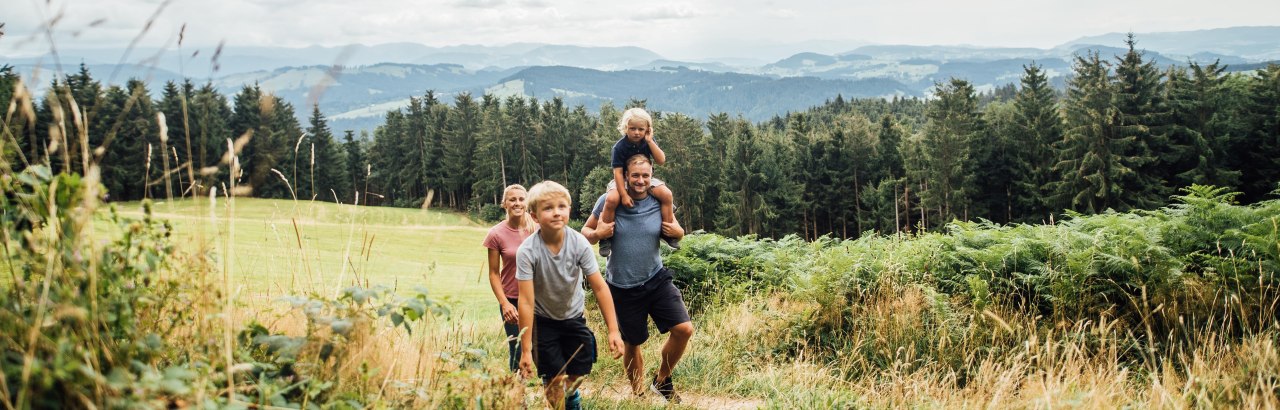 Im Westallgäu hat die ganze Familie Spaß während der Wanderung Im Westallgäu hat die ganze Familie Spaß während der Wanderung