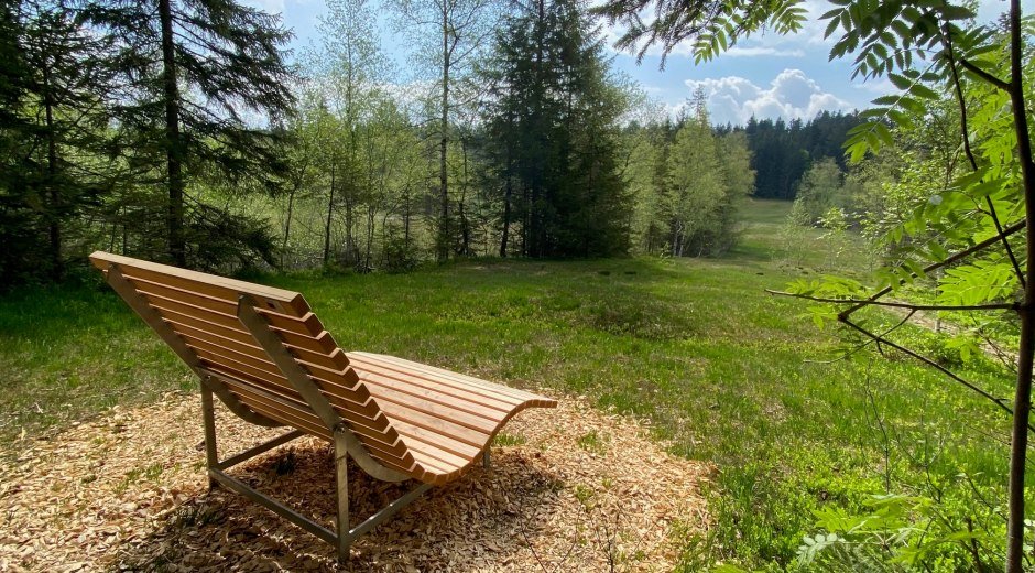 Waldliege Wildrosenmoos Wald&Wiese © Marina Hartmann, Gästeinformation Oberreute